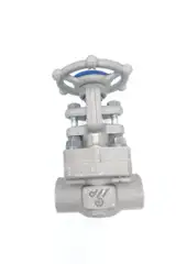 DSI 4121 A8-18 MANUAL STEEL THREADED WEDGE GATE VALVE 1/2IN NPT 800