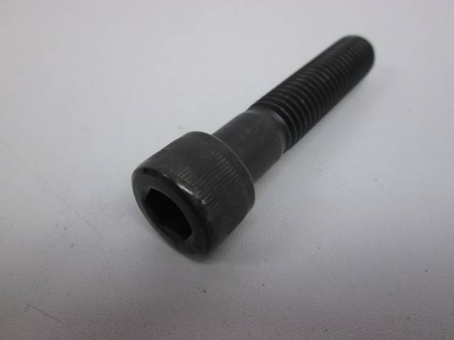 LOT 30 FASTENAL 1123413 1/2-13X2-1/2 BLACK STEEL SOCKET CAP SCREW D271763