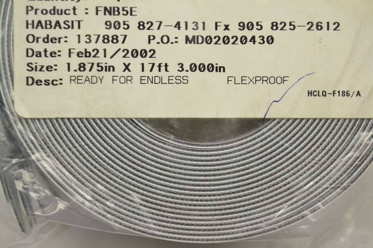 LOT OF 2 HABASIT FNB-5E CONVEYOR BELT ENDLESS FLEXPROOF 5M765 X