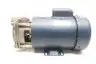 MTH PUMPS T41B-SS TURBINE PUMP 1IN 1/3HP 115/208-230V-AC thumbnail 3