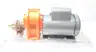 OBERDORFER PUMPS N3000RS16 GEAR PUMP 3/4HP 115/230V-AC thumbnail 2