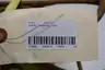 DANIEL WOODHEAD 1670 GROUND-FAULT SENTRY 1200W 10A AMP 120V-AC thumbnail 7