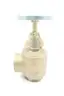 U20 MANUAL BRONZE FIRE HOSE VALVE 2-1/2IN NPT thumbnail 1