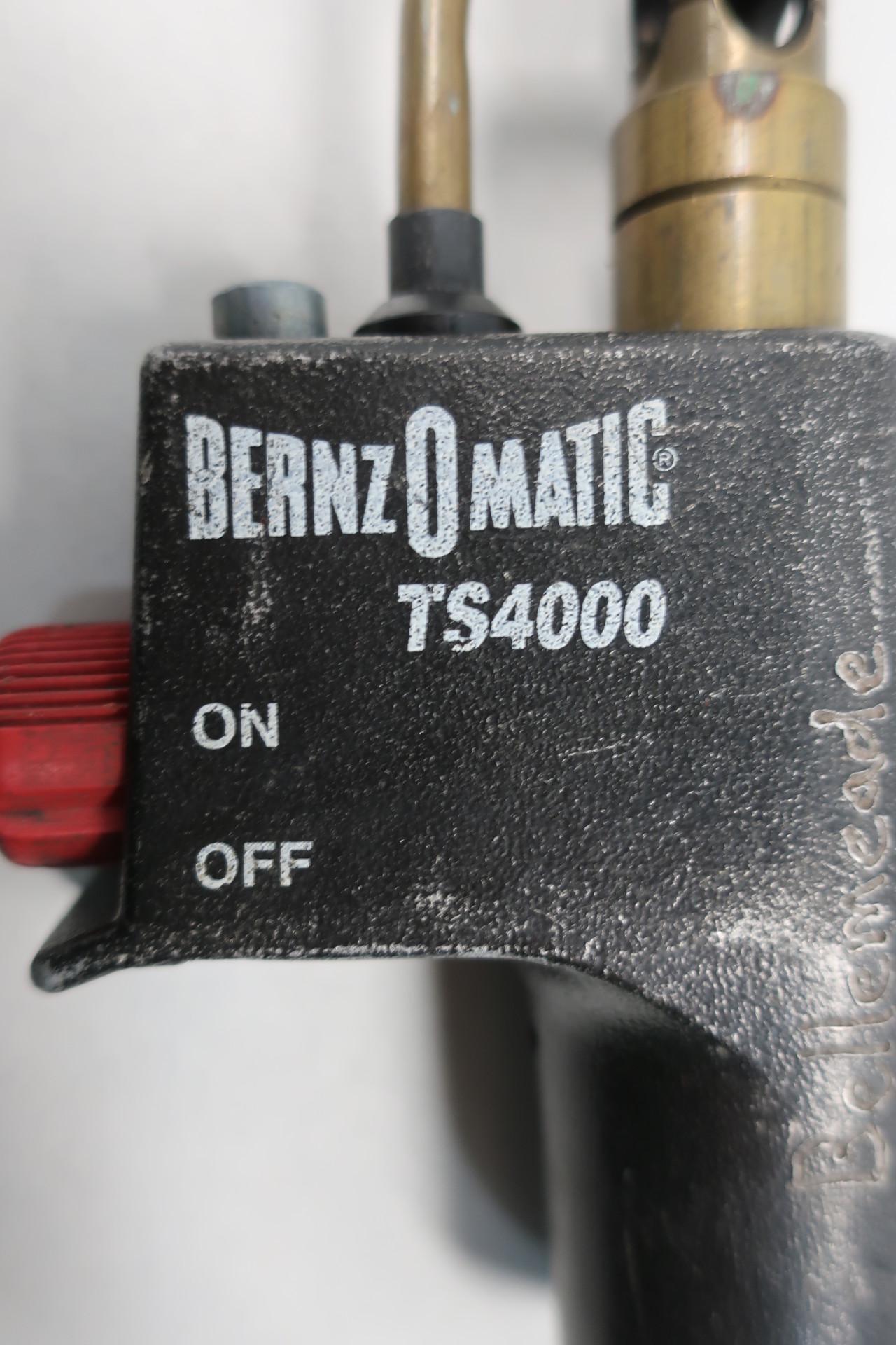 BERNZOMATIC TS4000 TRIGGER-START TORCH