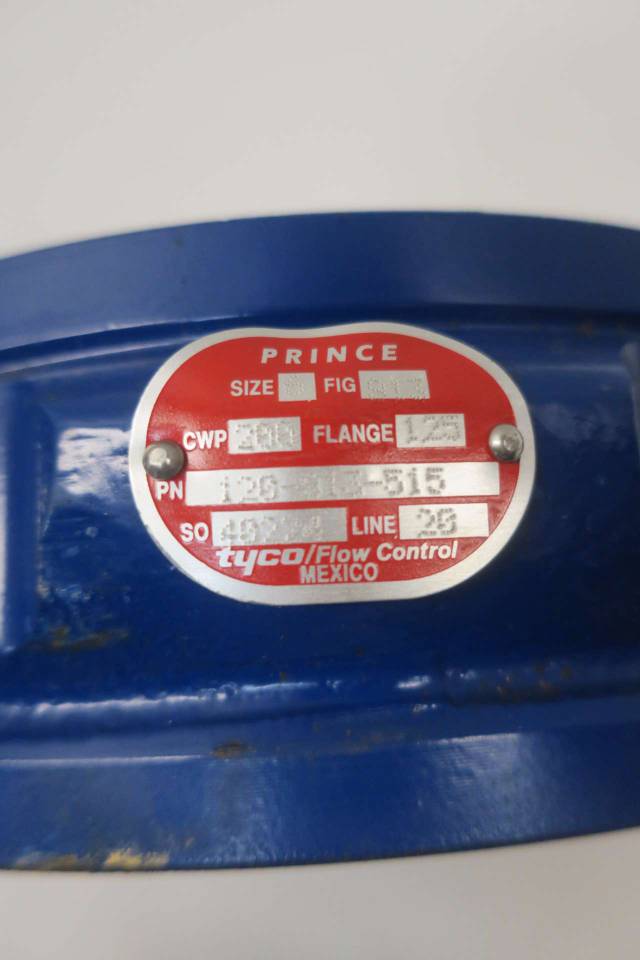 TYCO 813 120813515 PRINCE 6IN IRON 125 SWING GATE CHECK VALVE D560123