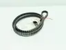 GOODYEAR 14GTR-2520-20 FALCON HTC TIMING BELT 2520MM 14MM 20MM thumbnail 2