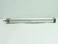 SCHRADER BELLOWS FW2A101621 DOUBLE ACTING PNEUMATIC CYLINDER 250PSI 20IN
