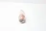 STF PRECISION QT02007-205 STF-15321 SPOTFACE DRILL CHAMFER thumbnail 3