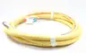 THORBURN N16TA16-M2-16MPU5S6-16PMUS6-300 PNEUMATIC HOSE thumbnail 2