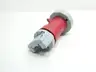LEVITON 520P7W IEC PIN & SLEEVE PLUG 5W 4P 20A AMP 480V-AC thumbnail 3