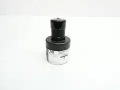 LMI L-35635 PVC PRESSURE RELIEF VALVE 50PSI
