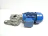 SITI MI 50 FP A3 GEARMOTOR 54.67RPM 3PH 0.44KW 275/480V-AC thumbnail 1