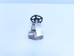 DOUGLAS CHERO R253/SW MANUAL STAINLESS SOCKET WELD WEDGE GATE VALVE 3/4IN 800