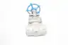 VELAN W05-2054B-14MS STAINLESS MANUAL SOCKET WELD WEDGE GATE VALVE 1IN 800 thumbnail 2