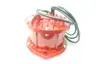 SYNTRON V-50-D1S MAGNETIC VIBRATOR 4.5A AMP 115V-AC thumbnail 2