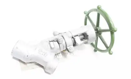 Flowserve Globe Valves