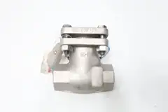 POWELL 2341TN0TXXX STAINLESS THREADED CHECK VALVE 1IN NPT 200
