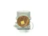 TAYLOR 1100 MAG-PIPE MAGNETIC FLOW METER 2IN 300 117V-AC thumbnail 2