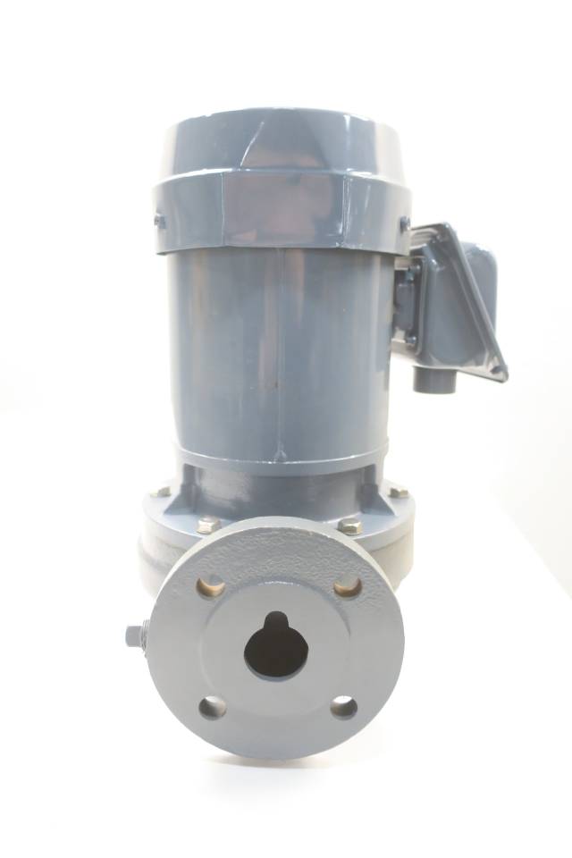 Ebara 32lpd Vertical Inline Iron Centrifugal Pump 34kw 220v Ac 32mm