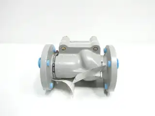 NGC V700K2ZZ0N20T STEEL FLANGED CHECK VALVE 2IN 150