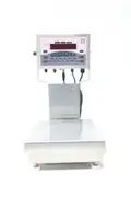 RICE LAKE CW90-A OVER/UNDER CHECKWEIGHER 115V-AC