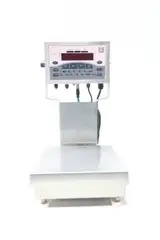 RICE LAKE CW90-A OVER/UNDER CHECKWEIGHER 115V-AC