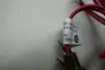 GEMS 01701 SINGLE POINT LEVEL SWITCH 50-240V-AC thumbnail 4